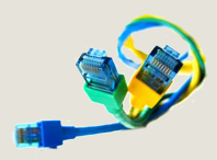 Network Cables